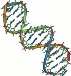 DNA-genometherapy